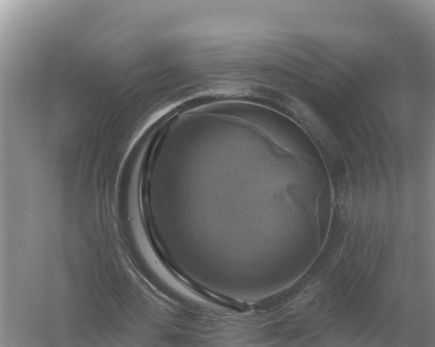 X0000058140484200509302023