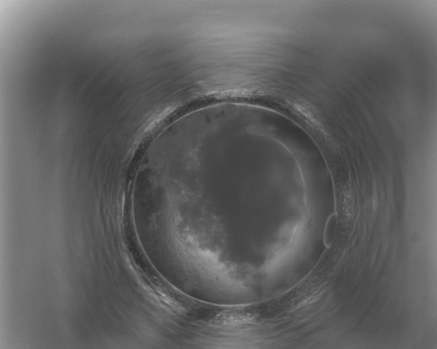 X0000058140491200509302023