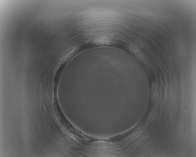 X0000058140494200509302023