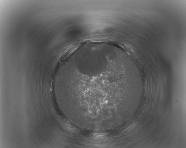 X0000058140495200509302022