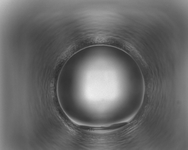 X0000058140497200509302022