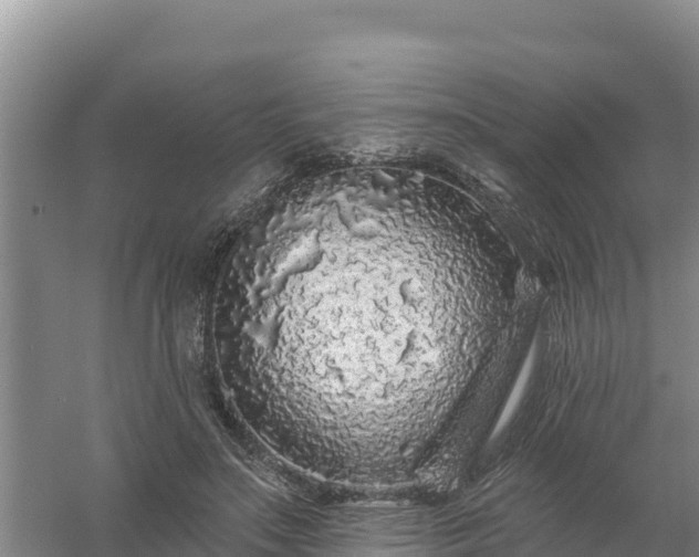 X0000058140499200509302022