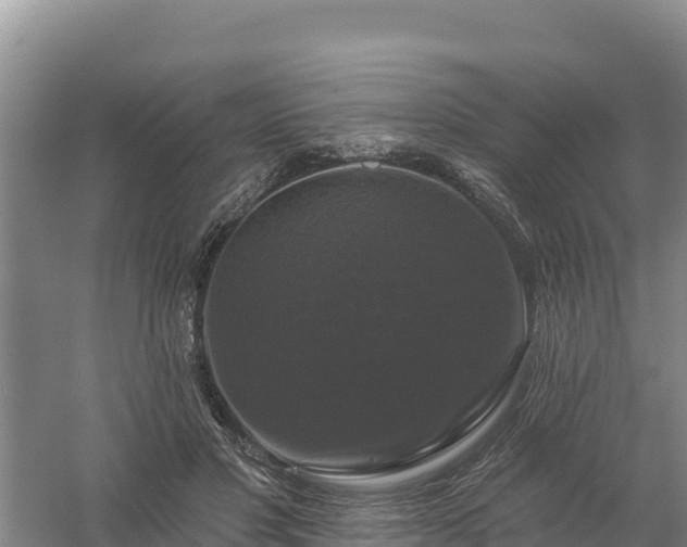 X0000058140501200509302022