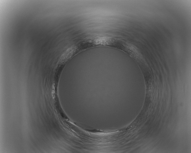 X0000058140502200509302022