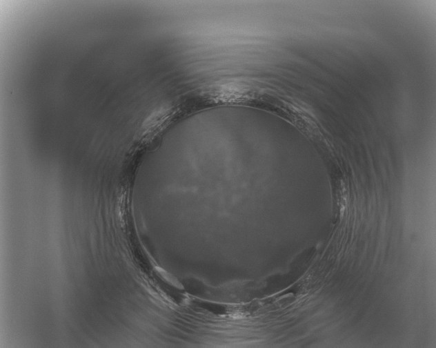 X0000058140503200509302022