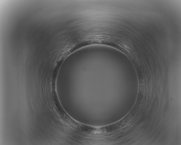 X0000058140504200509302022