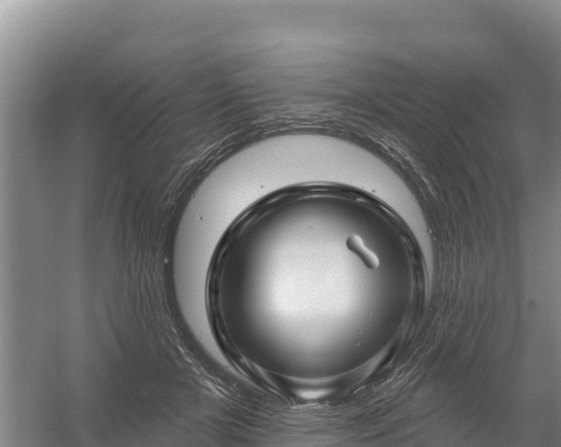 X0000058140505200509302022