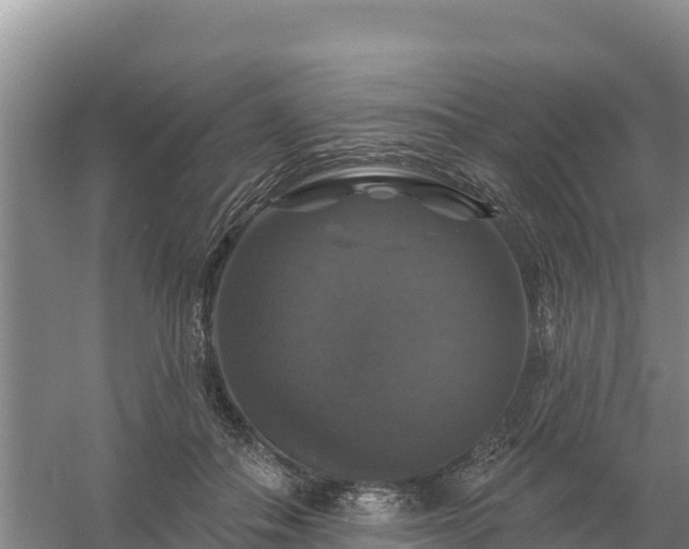 X0000058140506200509302022