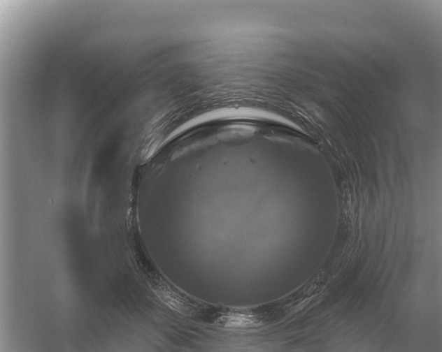 X0000058140507200509302022