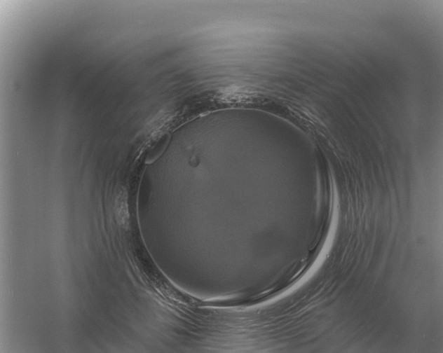 X0000058140508200509302022