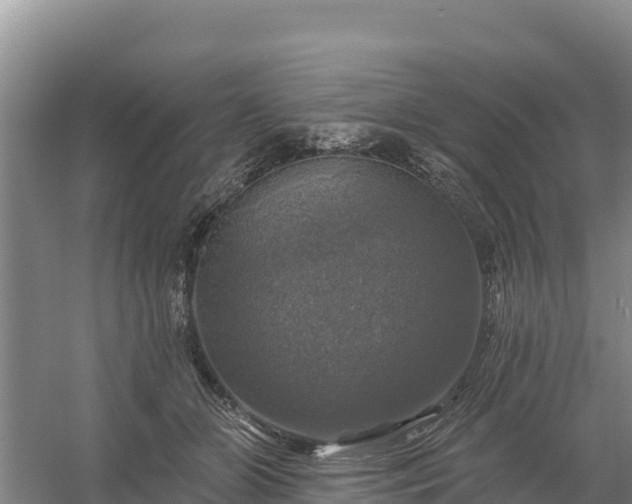 X0000058140510200509302022