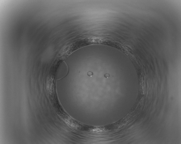 X0000058140511200509302022