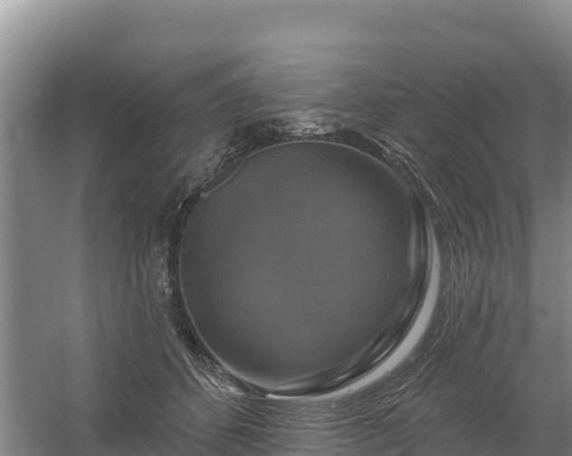 X0000058140512200509302022