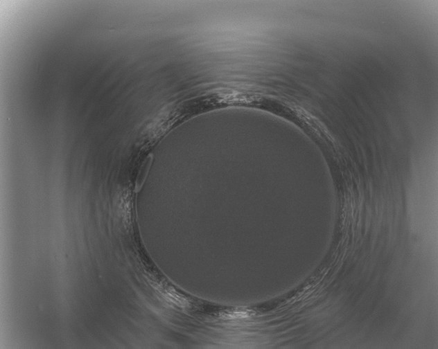 X0000058140513200509302022