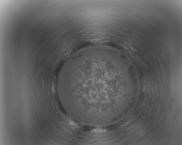 X0000058140515200509302022