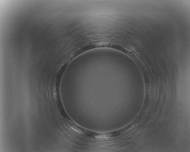 X0000058140516200509302022