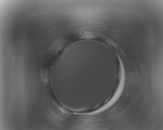 X0000058140517200509302022