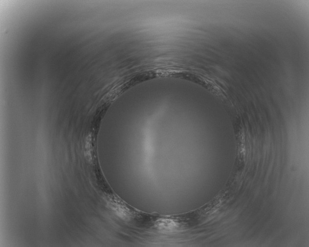 X0000058140519200509302022