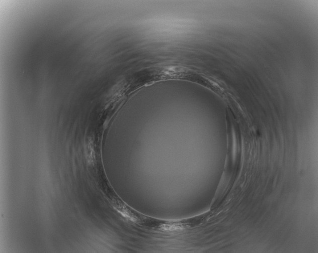 X0000058140520200509302022