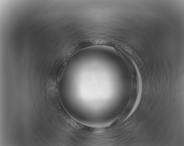 X0000058140521200509302022