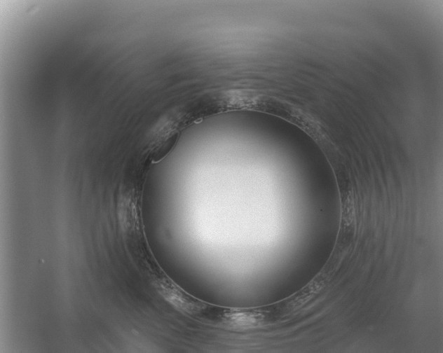 X0000058140522200509302022