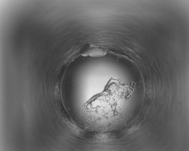 X0000058140523200509302022