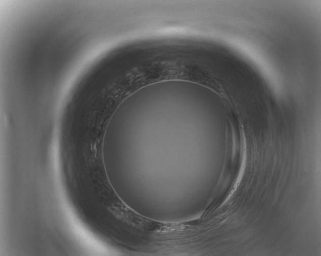 X0000058140524200509302022