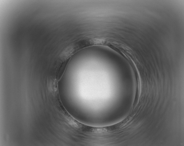 X0000058140525200509302022