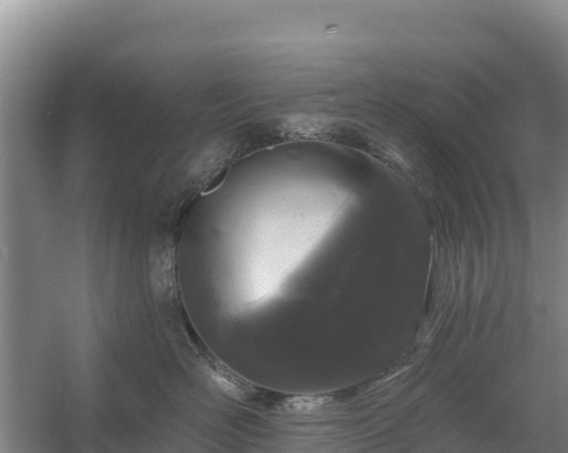 X0000058140526200509302022