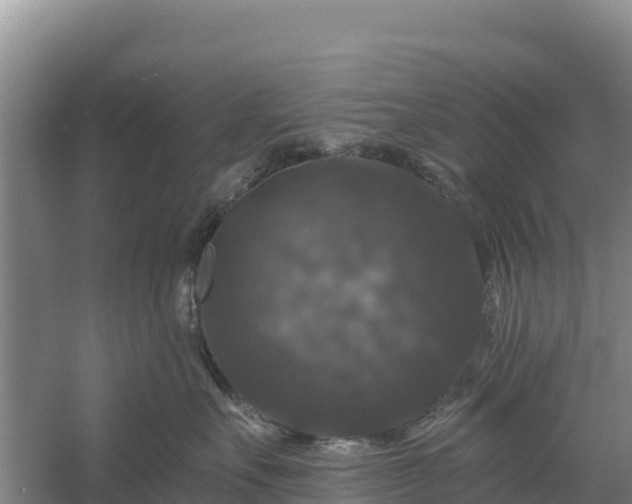 X0000058140527200509302022