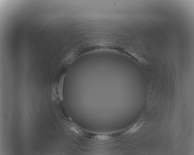 X0000058140528200509302022