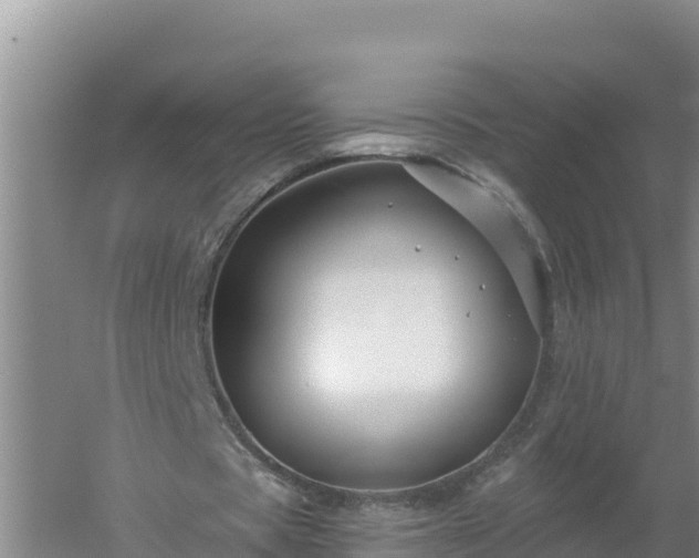 X0000058140529200509302021