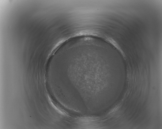 X0000058140530200509302021