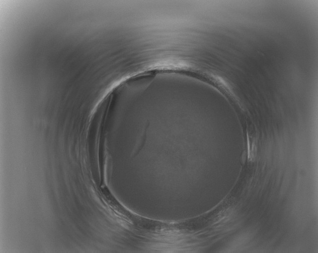 X0000058140531200509302021