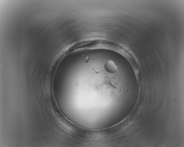 X0000058140533200509302021