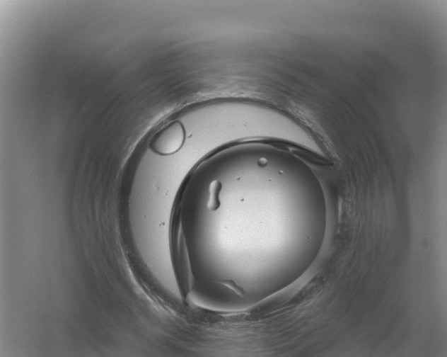 X0000058140534200509302021