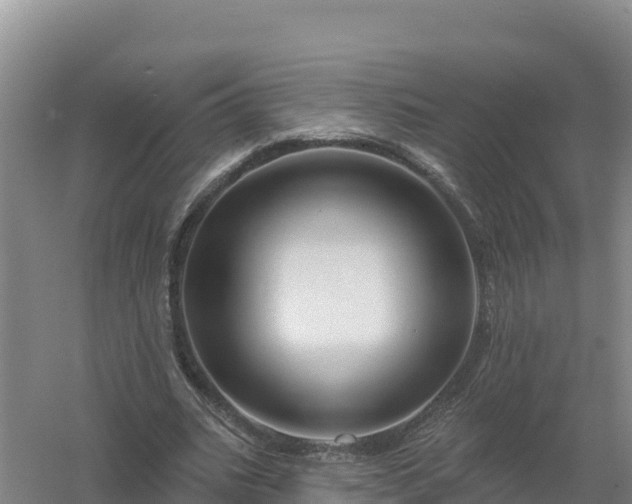 X0000058140535200509302021