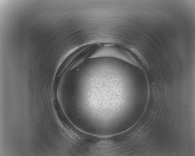 X0000058140536200509302021