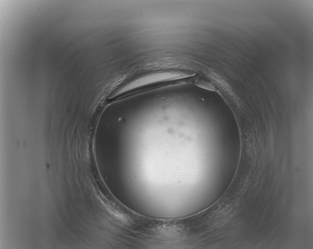 X0000058140537200509302021