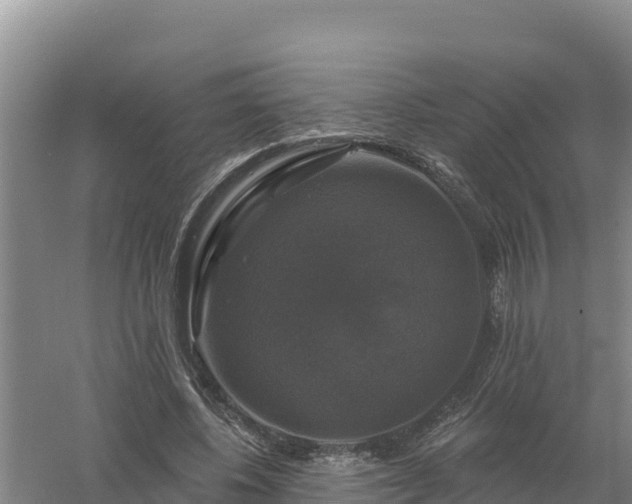 X0000058140540200509302021