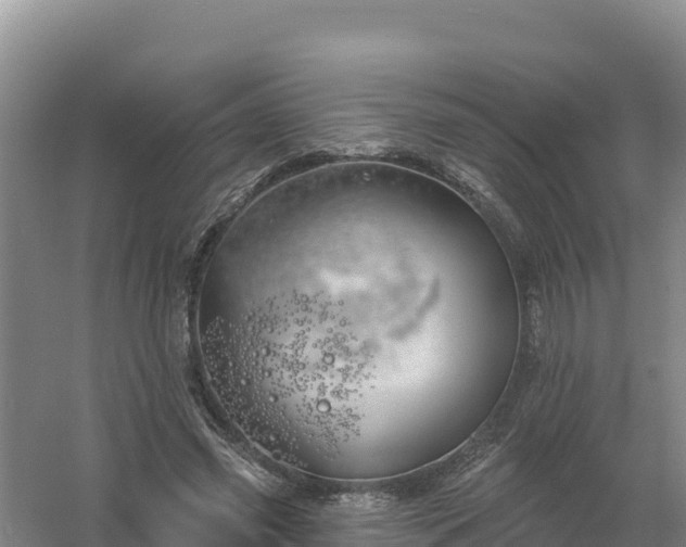 X0000058140541200509302021