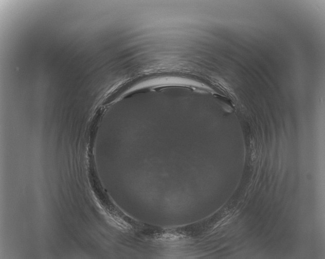 X0000058140542200509302021