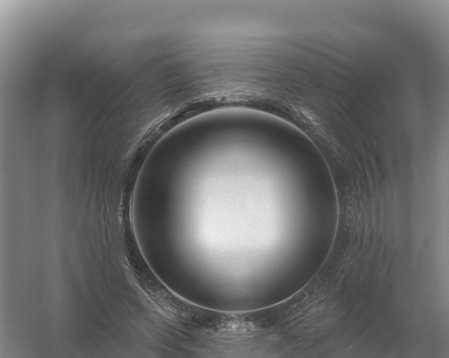 X0000058140543200509302021