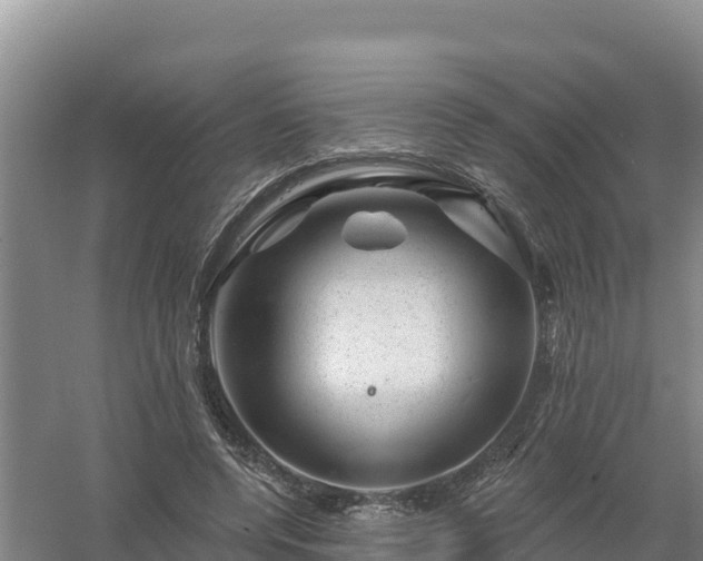 X0000058140544200509302021