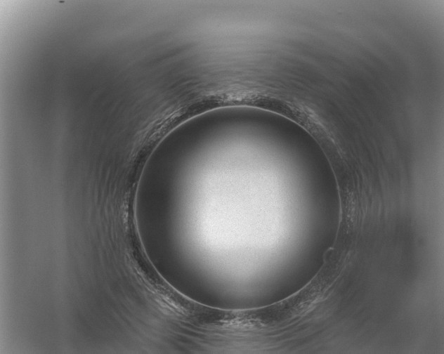 X0000058140545200509302021