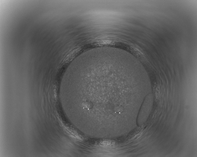 X0000058140546200509302021