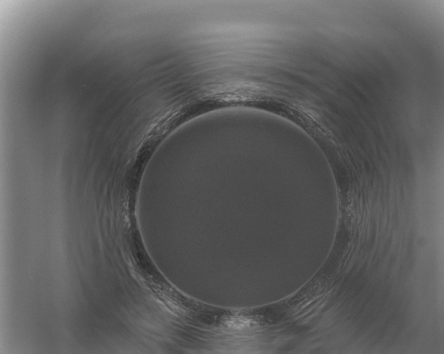 X0000058140547200509302021