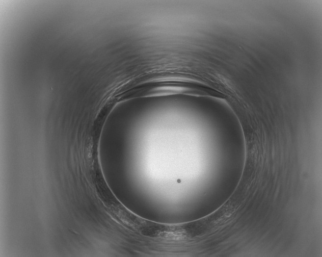 X0000058140548200509302021