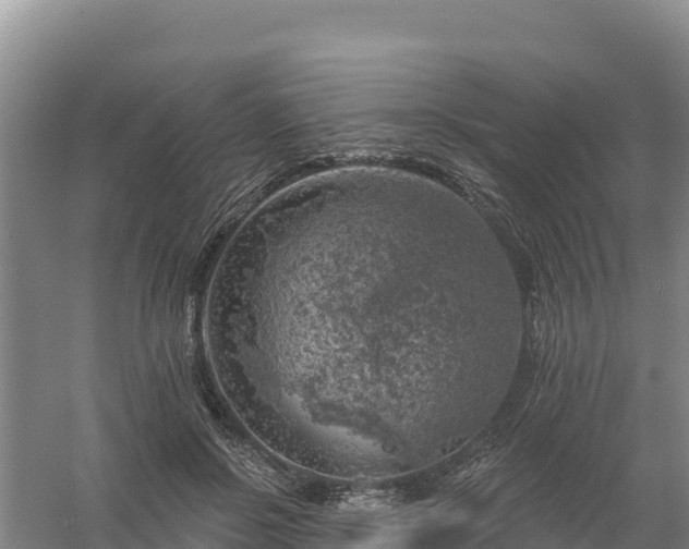 X0000058140550200509302021