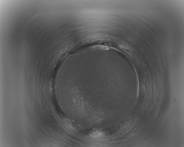 X0000058140551200509302021